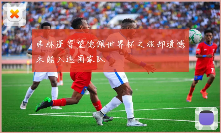 弗林蓬寄望德佩世界杯之旅却遗憾未能入选国家队