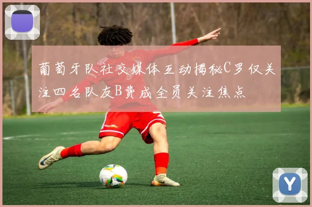 葡萄牙队社交媒体互动揭秘C罗仅关注四名队友B费成全员关注焦点