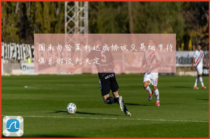国米与哈莱利达成协议交易细节待俱乐部谈判决定